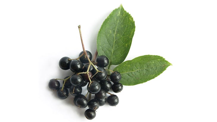 elderberries 7 natural remedies that are designed to ease coughs caused by viral infections, including colds and the flu.