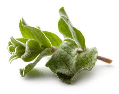 green-herb