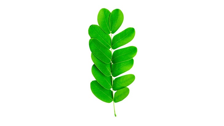 tamarind This Tamarind Drink is recommended by the World Health Organization (WHO) in its Cough and Cold Remedies for the Treatment of Acute Respiratory Infection in Young Children. It’s also great for easing coughs and other cold and flu symptoms in adults.